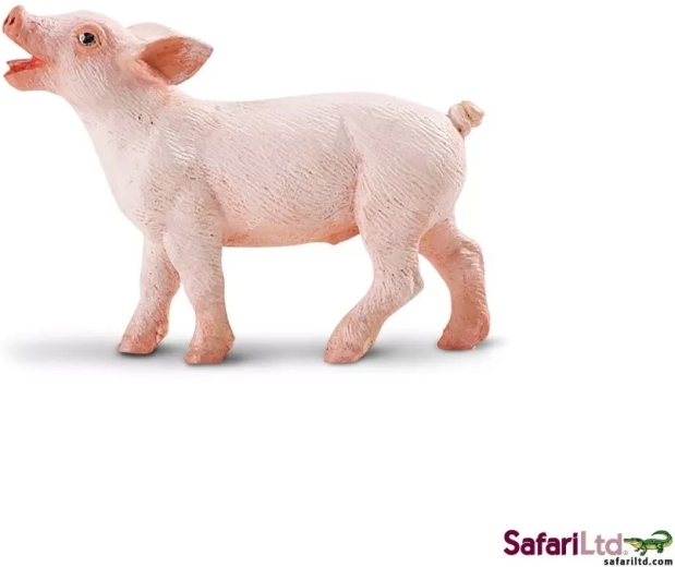 Safari Ltd. biggetje - 1 stuk