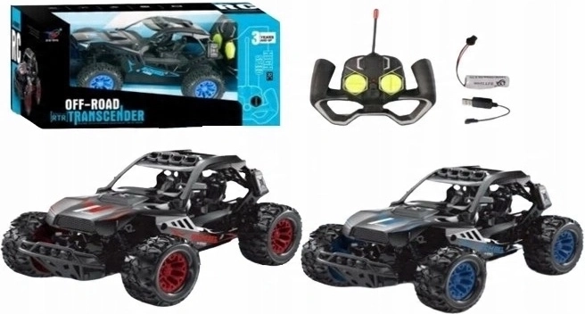 Terrein RC-auto