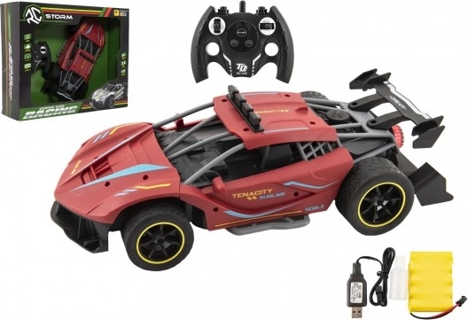 RC sportauto 2,4 GHz met oplaadbare batterij