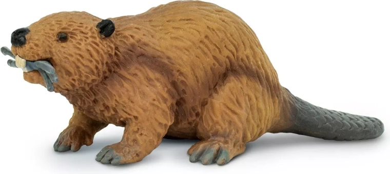 Safari Ltd. figuur bever - 1 stuk