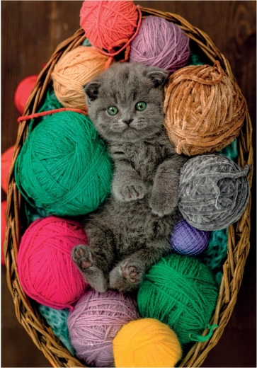 Puzzel pluizig katje 500 stukjes CLEMENTONI