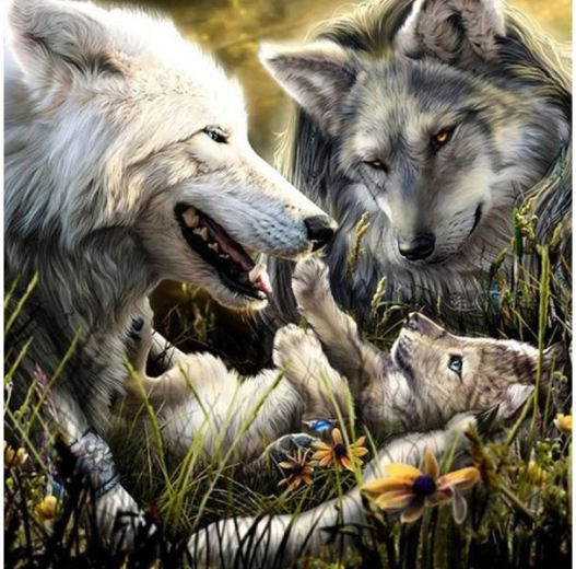 Diamantmozaïek (diamond painting) wolvenfamilie 30 × 30 cm