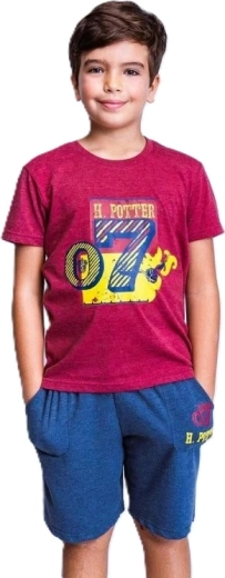 Harry Potter set van T-shirt en korte broek