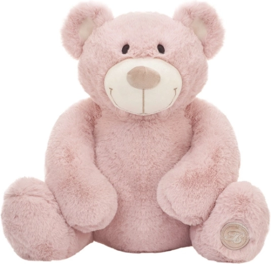 Pluchen teddybeer Jacobe 35 cm roze
