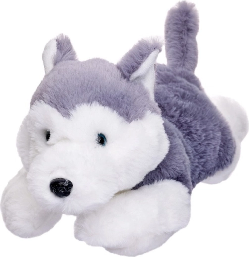 Husky knuffelhond liggend 35 cm