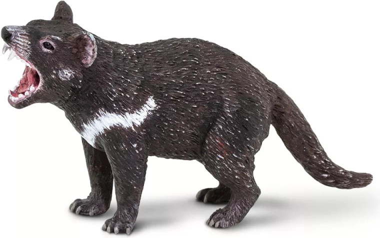 Realistische figurine van de Tasmaanse duivel Safari Ltd.
