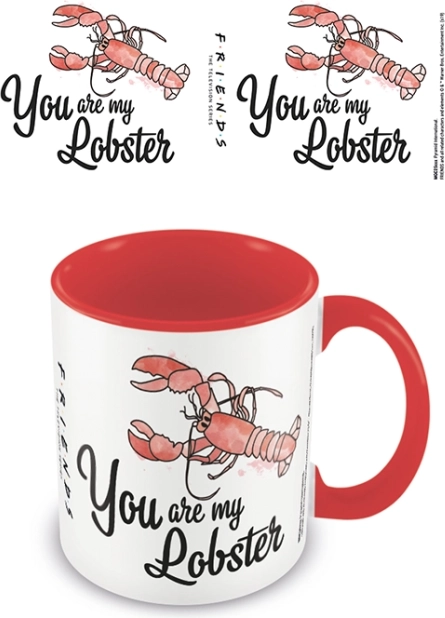 Kleurrijke beker Vrienden You Are My Lobster
