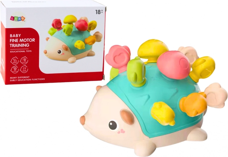 Senziory Egel met Kleurrijke Stokjes voor Baby's