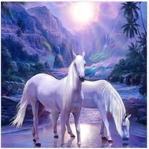 Schilderen op nummer Twee witte paarden 40 × 50 cm
