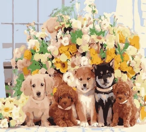 Norimpex Schilderen op nummer Honden 40 × 50 cm