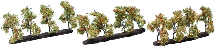 Noch appelboom met vruchten 3,5 cm (12 stuks)