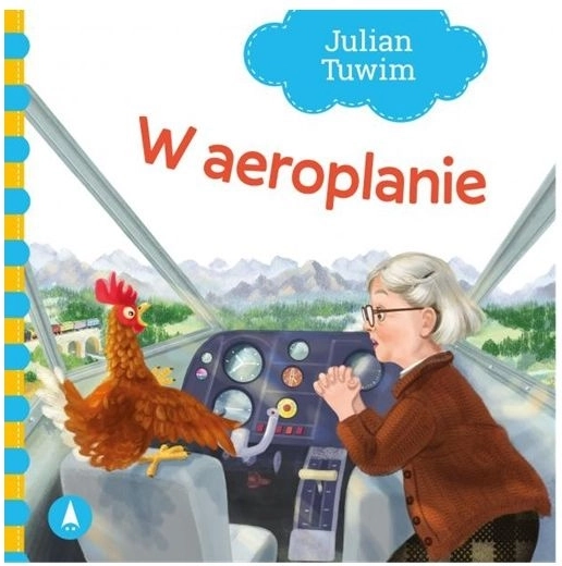 In het vliegtuig
