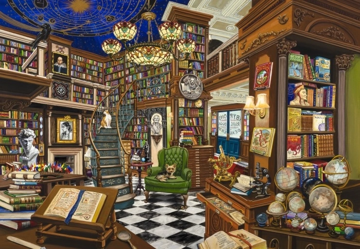 BLUEBIRD puzzel Verkoper van zeldzame boeken 1000 stukjes