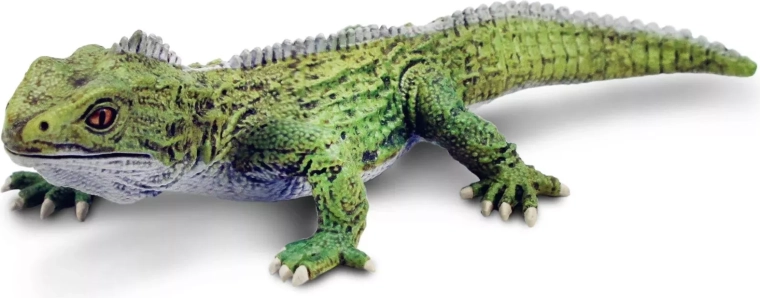 Safari Ltd. figuur tuatara