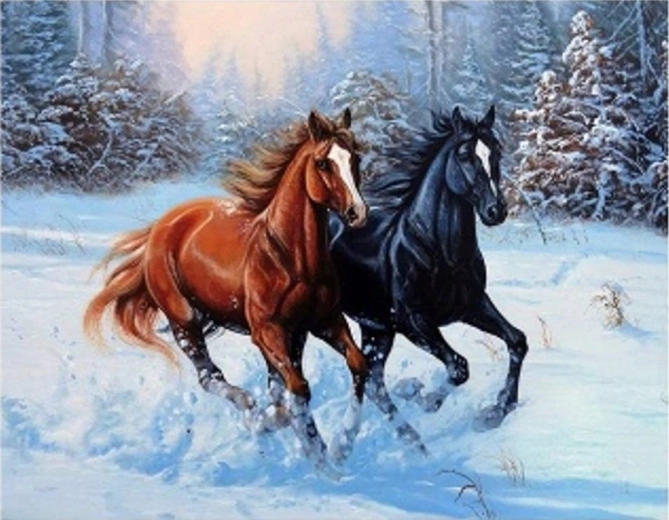 Schilderen op nummer galopperende paarden in de sneeuw 40 × 50 cm