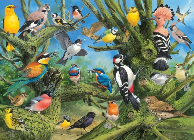 EUROGRAPHICS puzzel Vogels in de tuin – 1000 stukjes
