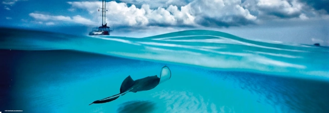 Panoramische puzzel Rog - Kaaimaneilanden 1000 stukjes