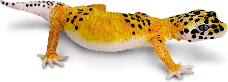 Safari Ltd. figuur nachtgekko