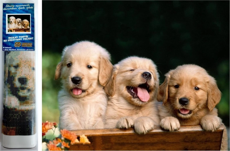 Diamantmozaïek - Drie honden