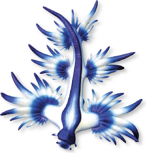 Bullyland blauwe zeenaaktslak figuur