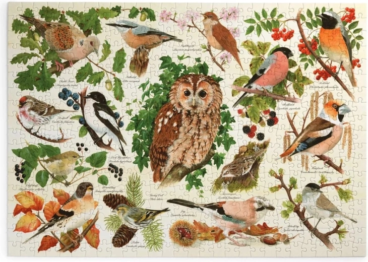 Puzzel Bosvogels, 500 extra grote stukjes