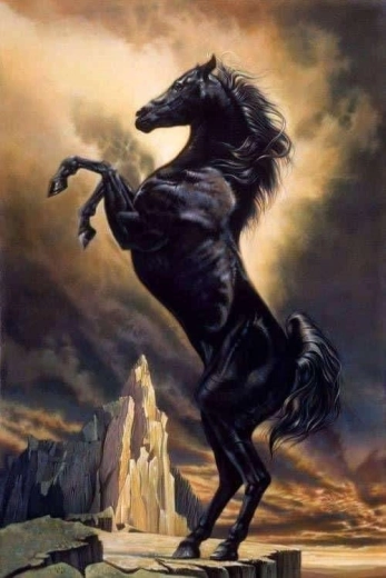 Norimpex diamond painting Steigerend paard 30 × 40 cm