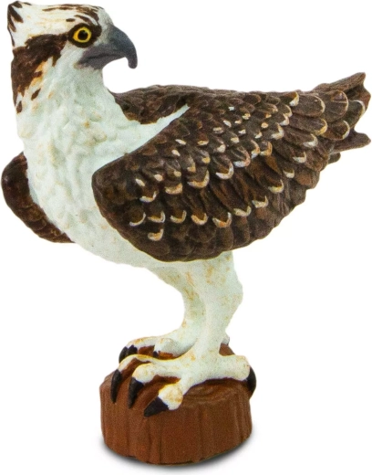 Safari Ltd. figuur zeearend