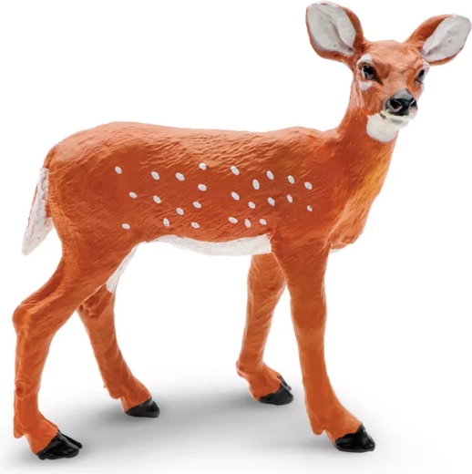 Witstaarthertkalf Safari Ltd.
