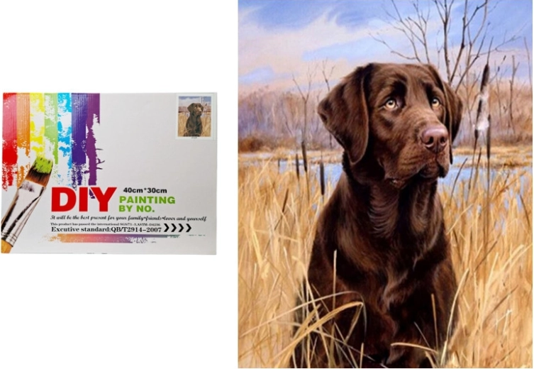 Schilderen op nummer – hond in het riet