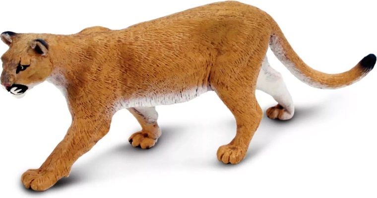 Safari Ltd. figuur Amerikaanse poema