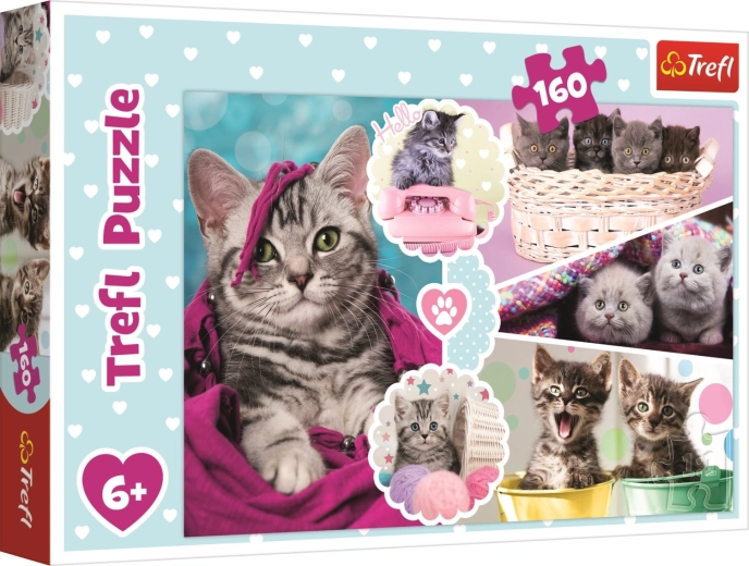Trefl puzzel schattige kittens 160 stukjes