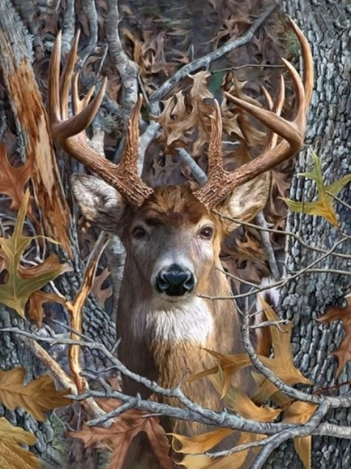 Diamond painting – hertenblik 30 × 40 cm