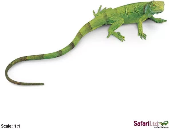 Safari Ltd. jong van de groene leguaan - 1 stuk