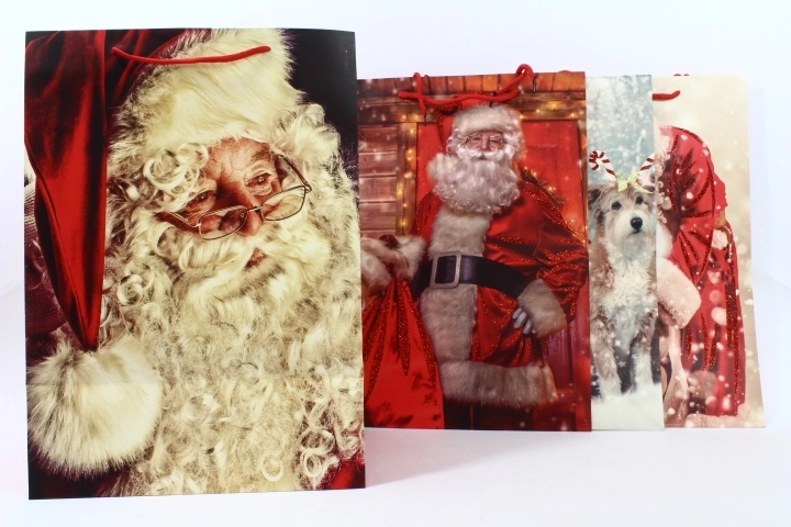 Cadeautas voor feestelijke gelegenheden, formaat L - 1 stuk