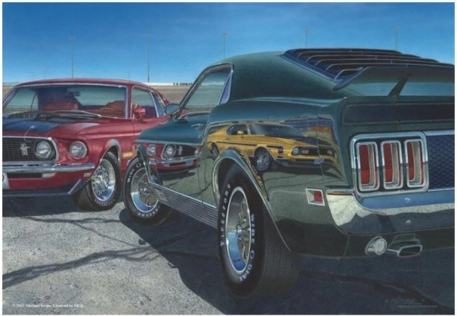 ANATOLIAN Puzzel Snelheid 500 stukjes