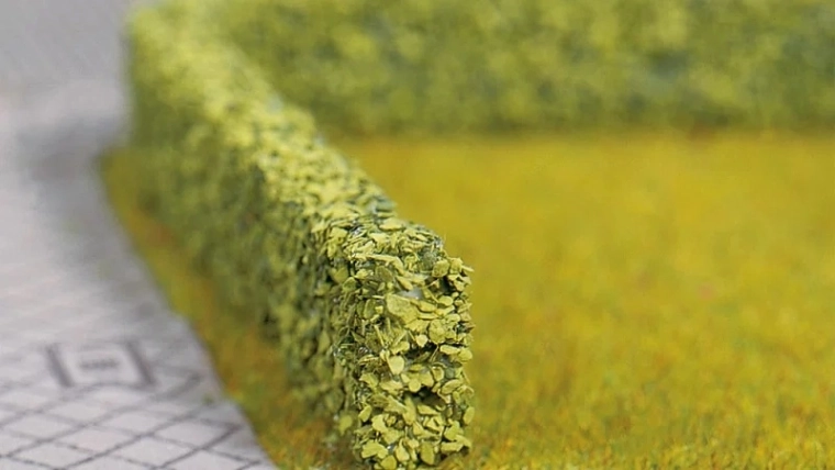 Noch levende haag groen (2 stuks)