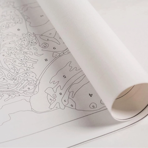 Schilderen op nummer voor kinderen 30 × 30 cm met opgespannen canvas