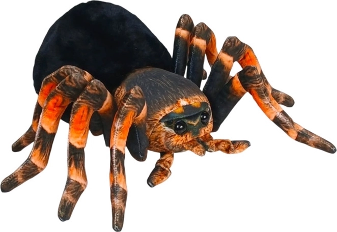 Pluchen spin zwart-oranje 25 cm