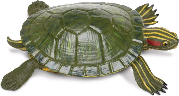 Schildpaddenfiguur (roodwangschildpad) Safari Ltd. - 1 stuk