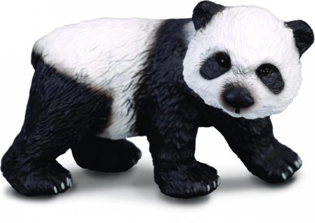 Panda groot - jong
