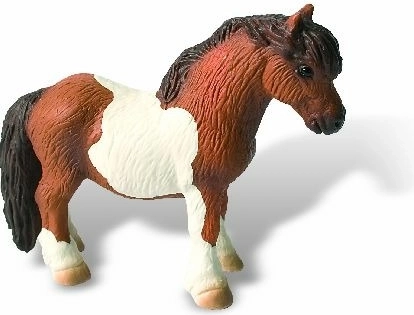 Shetlandpony