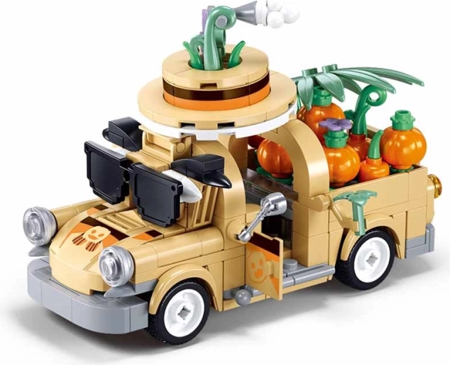 Sluban Girl's Dream Vruchtenkar