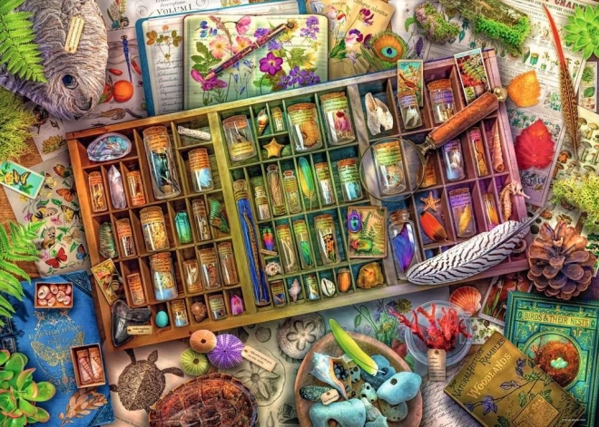 Ravensburger puzzel Natuurhistorische verzameling 1000 stukjes