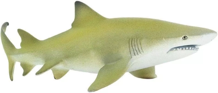 Figuur van de citroenhaaien Safari Ltd.