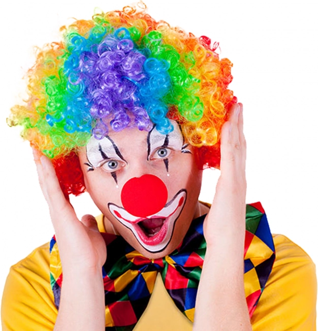 Kleurrijke Clownpruik voor volwassenen