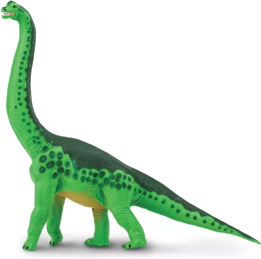 Brachiosaurus – dinosaurusfiguur Safari Ltd. - 1 stuk