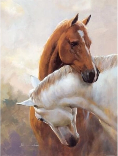 Diamantborduren (diamond painting) – twee paarden 30 × 40 cm - 1 stuk