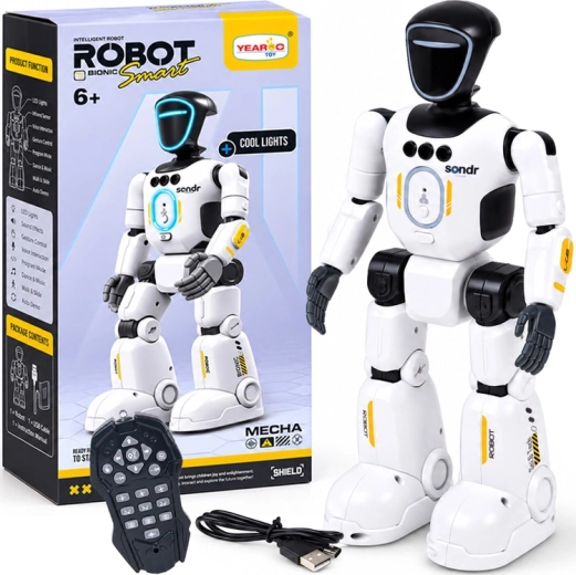 Interactieve robot Smart met afstandsbediening en gebaren