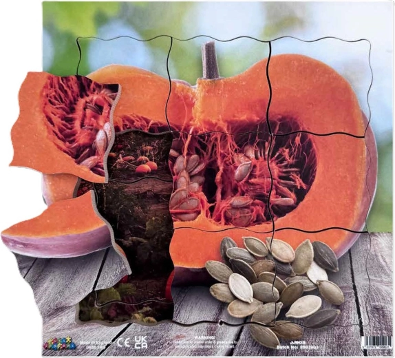 Just Jigsaws pompoen en zijn vegetatieve groeifasen – houten gelaagde puzzel, 19 puzzelstukjes