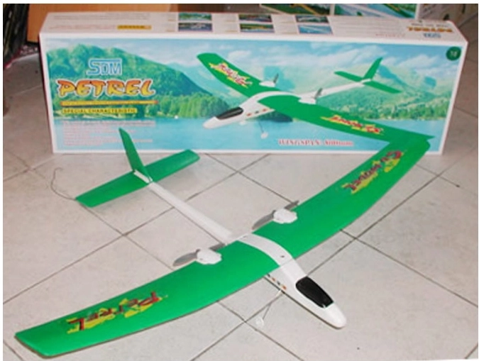 RC-vliegtuig Petrel met elektrische aandrijving en tweekanaals besturing